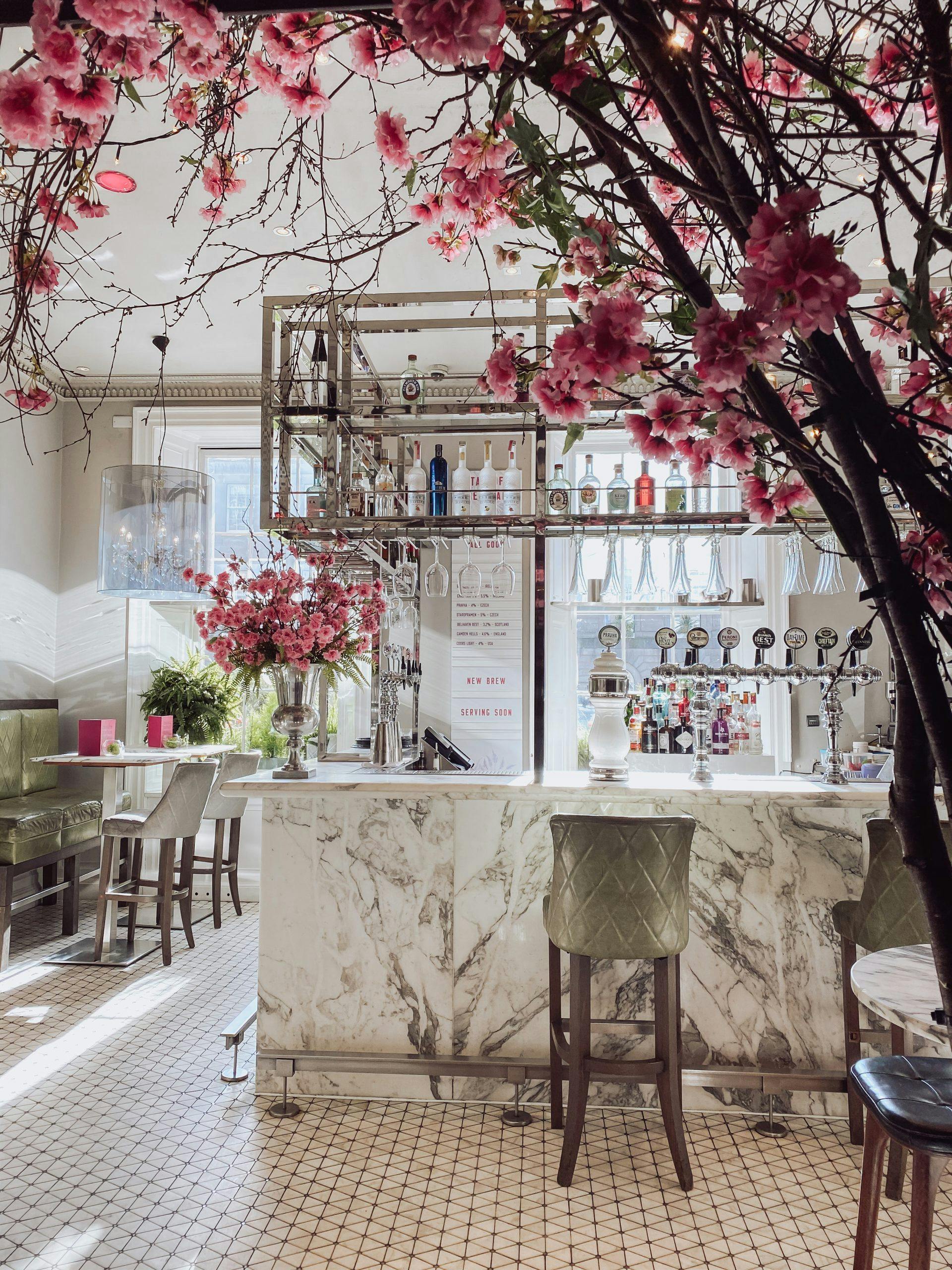 tigerlily img 9632 reisetips edinburgh beste hoteller